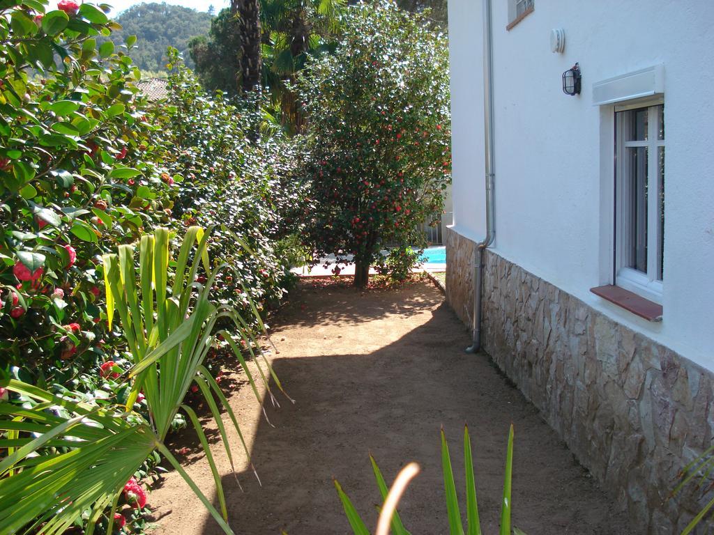 Casasmontseny Villa Arbúcies Exteriör bild
