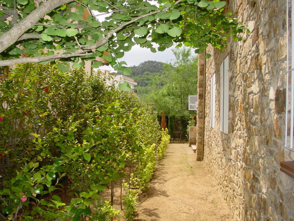 Casasmontseny Villa Arbúcies Exteriör bild