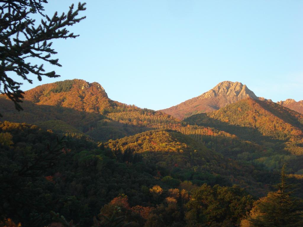 Casasmontseny Villa Arbúcies Exteriör bild